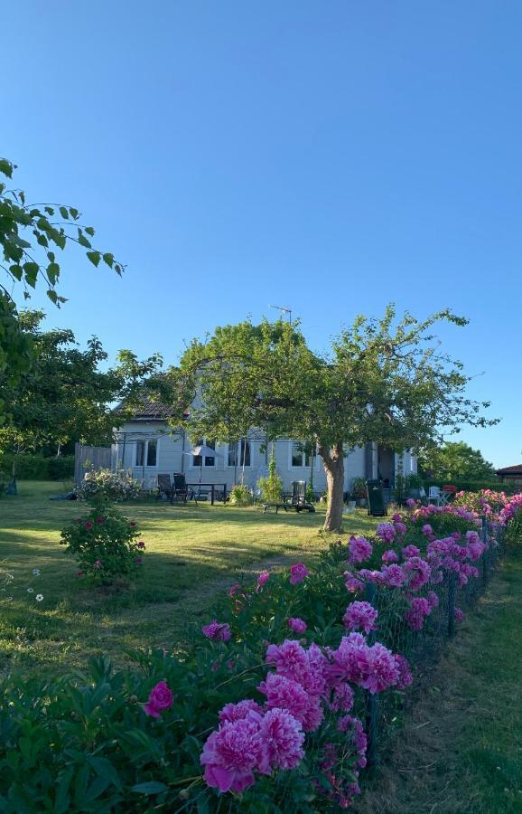 Villagatan Norrtalje Bagian luar foto